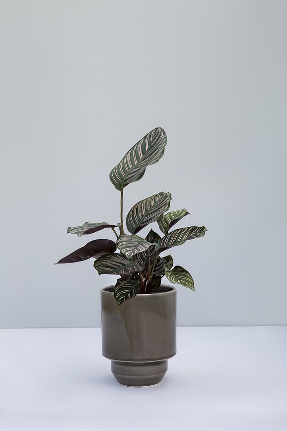 Hoff Okrasni lonec glaziran, 14 cm, siv