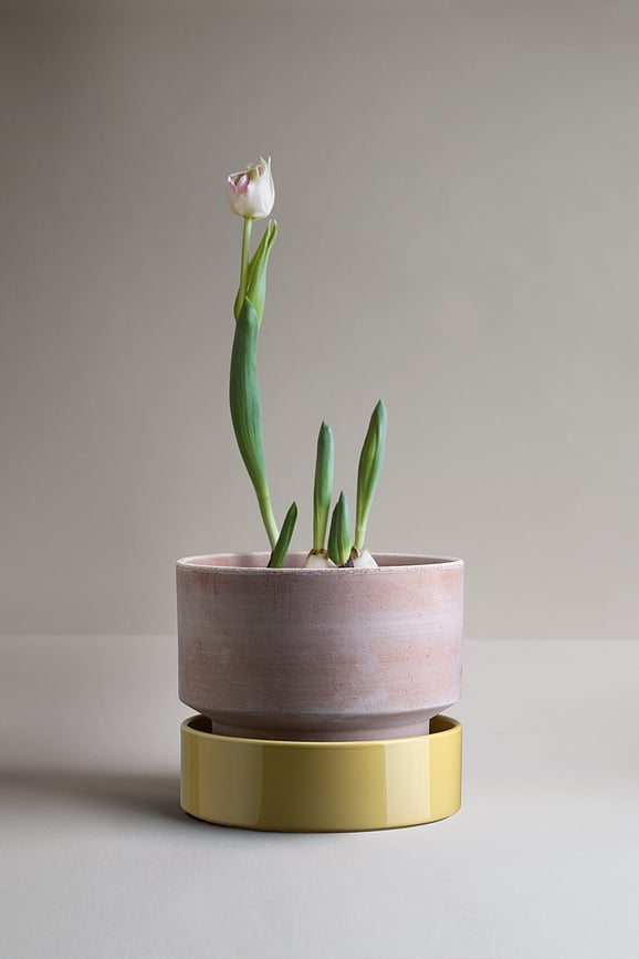 Hoff Podložak za Lončanicu 16 cm žuti glaziran