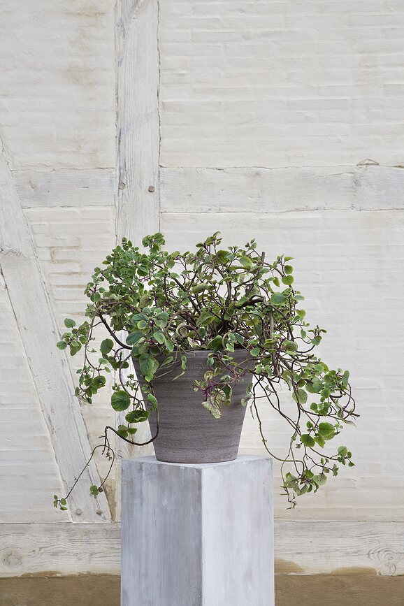 Julie Rustic Γλάστρα με πιατάκι, 40 cm, γκρι