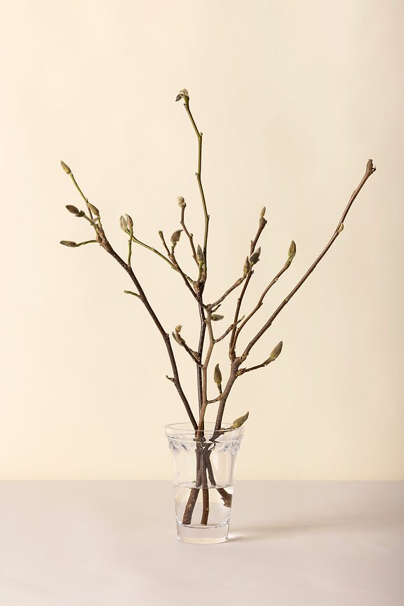 Københavner Βάζο, 21 cm