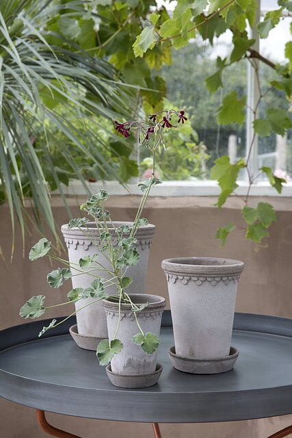 Københavner Blumentopf hoch grau mit Untersetzer