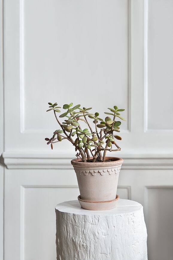 Københavner Lonec s podstavkom, 14 cm, roza