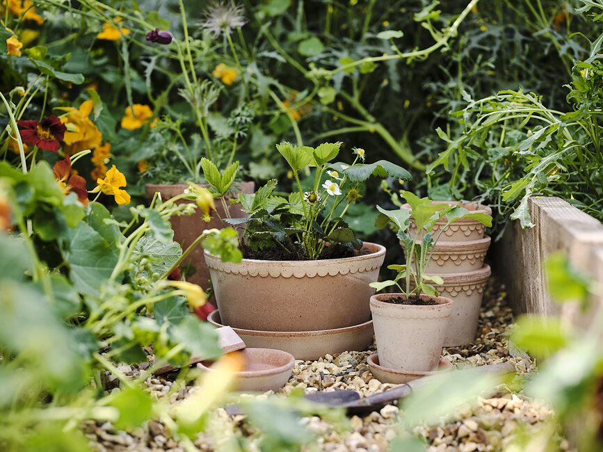 Københavner Lonec s podstavkom, 14 cm, roza