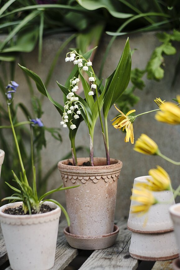 Københavner Lonec visok s podstavkom, 18 cm, roza
