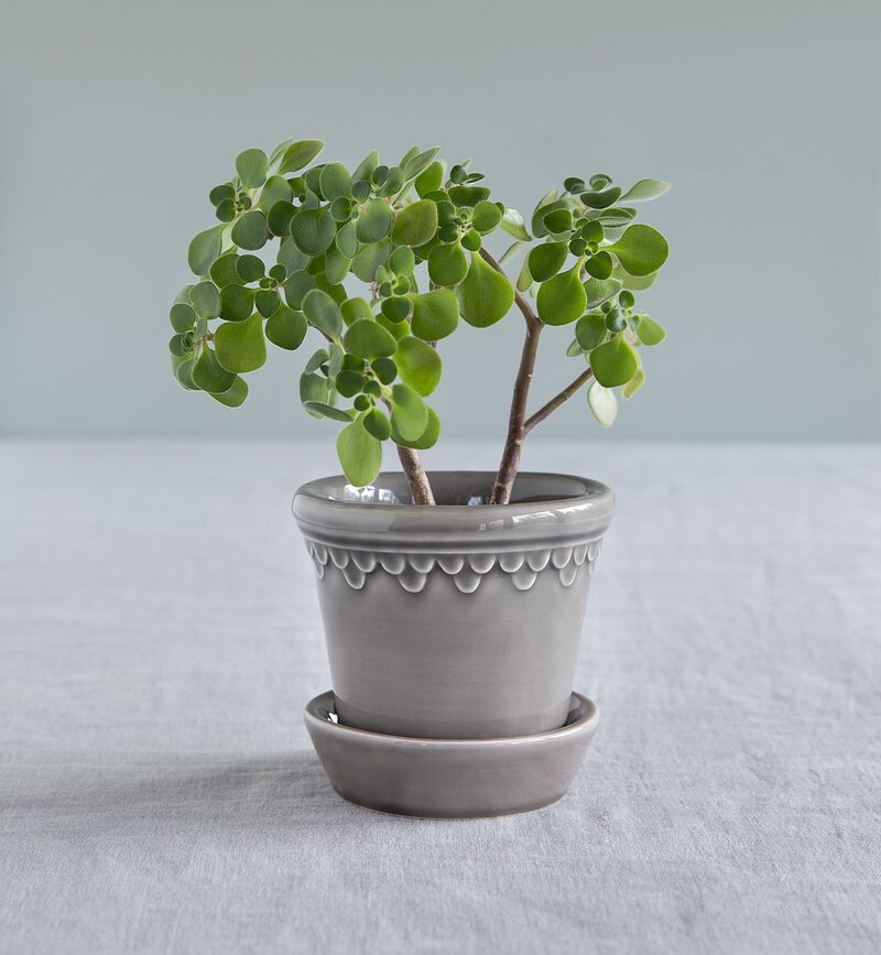 Københavner Cvetlični lonec glaziran s podstavkom, 12 cm, siv