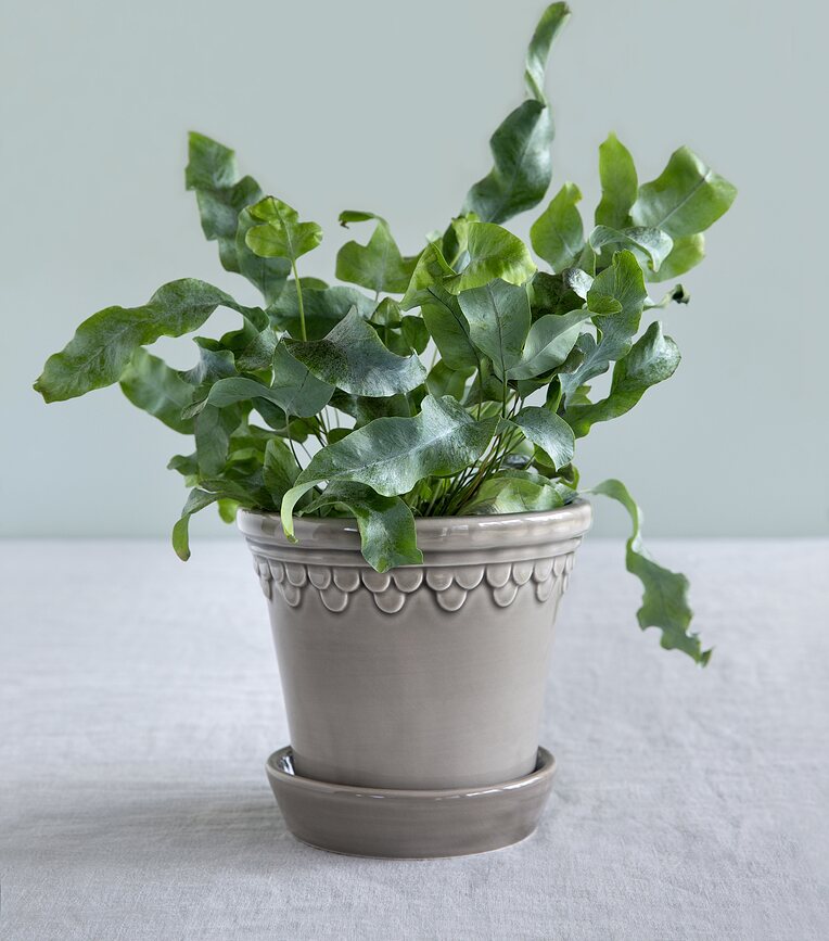 Københavner Cvetlični lonec glaziran s podstavkom, 12 cm, siv