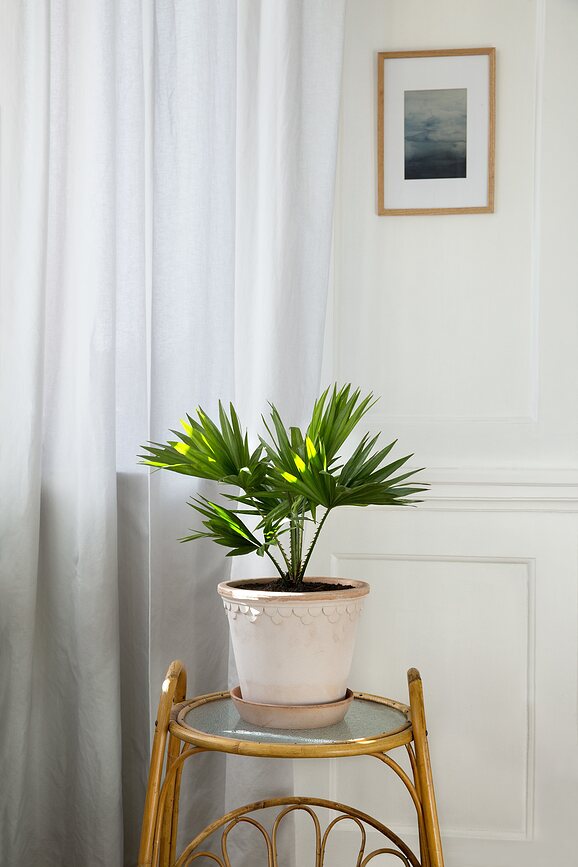 Københavner Pot de Fleurs avec soucoupe, 16 cm, rose