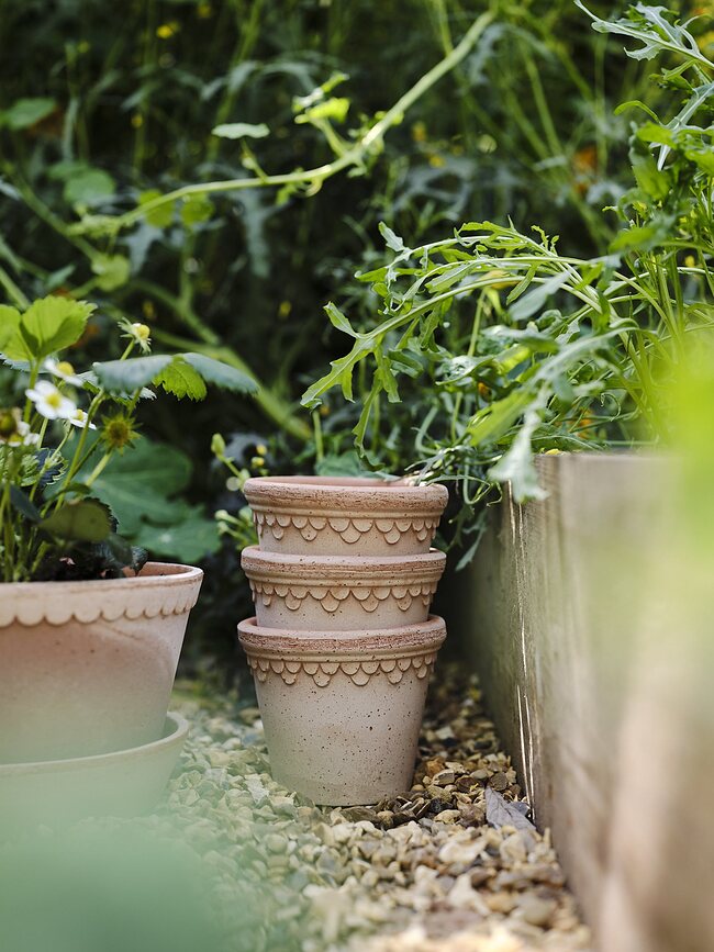 Københavner Pot de Fleurs avec soucoupe, 16 cm, rose