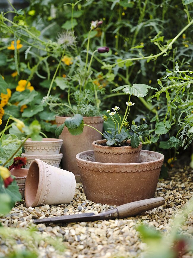 Københavner Pot de Fleurs avec soucoupe, 16 cm, rose
