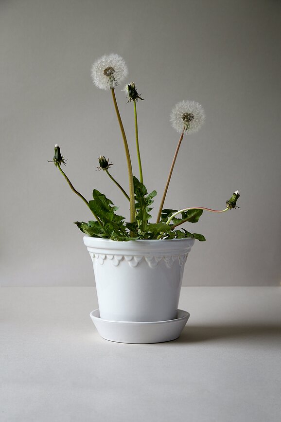 Københavner Pot de Fleurs émaillé avec soucoupe, 12 cm, blanc