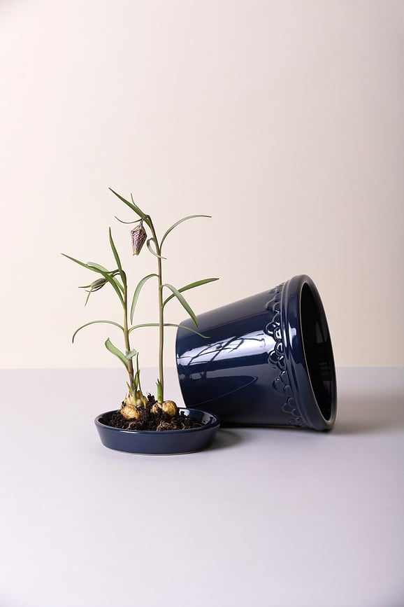 Københavner Pot avec Soucoupe, émaillé, bleu saphir, 14 cm