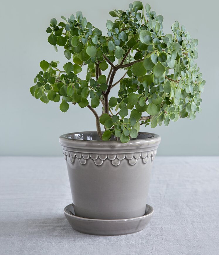 Københavner Pot de fleurs émaillé, 12 cm, gris, avec soucoupe
