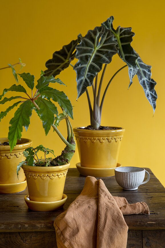 Københavner Pot de Fleurs émaillé avec soucoupe, 16 cm, jaune