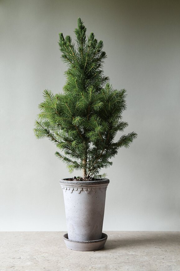 Københavner Pot de Fleurs haut avec soucoupe, 18 cm, gris