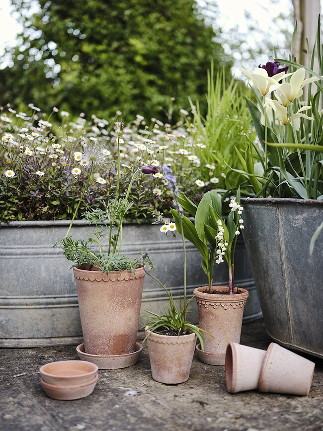 Københavner Pot de Fleurs haut avec soucoupe, 18 cm, rose