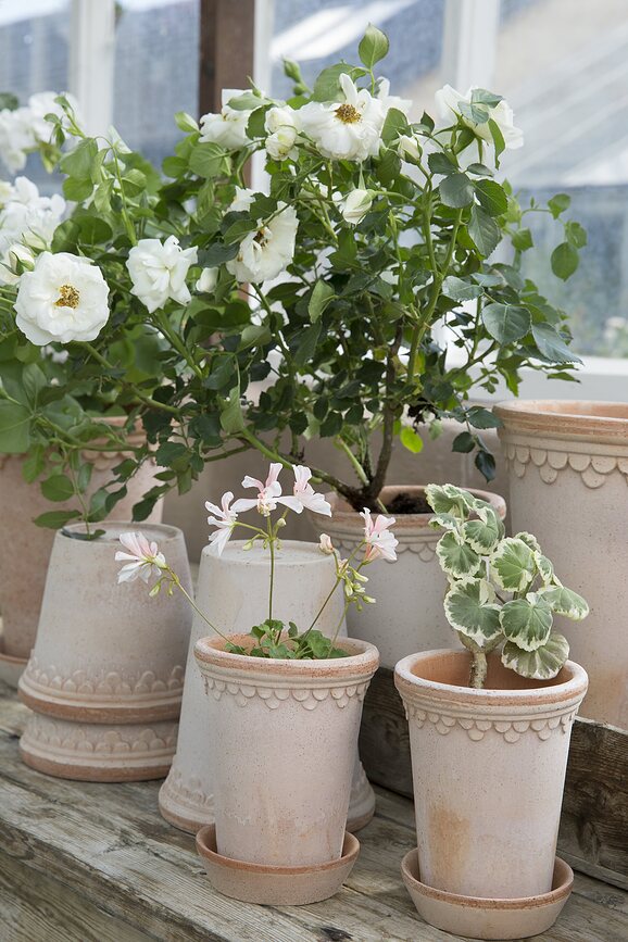 Københavner Pot de Fleurs haut avec soucoupe, 18 cm, rose