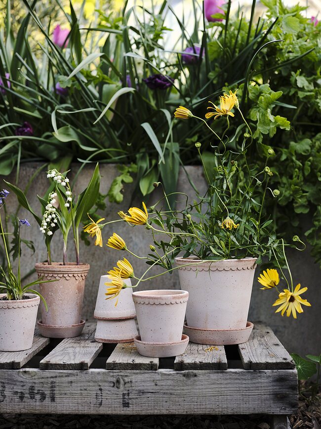 Københavner Pot de Fleurs haut avec soucoupe, 18 cm, rose
