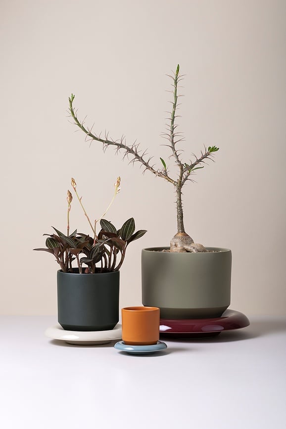 Lily Podložak 18 cm svijetloplavi