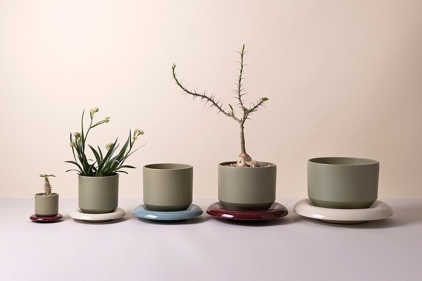 Lily Pot de fleurs 8 cm, vert sauge