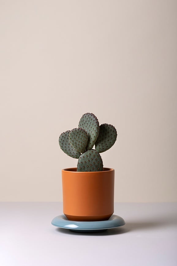 Lily Pot 8 cm, orange