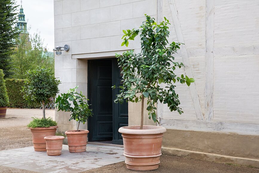 Lucca Vrtni lonec, 40 cm, rožnat