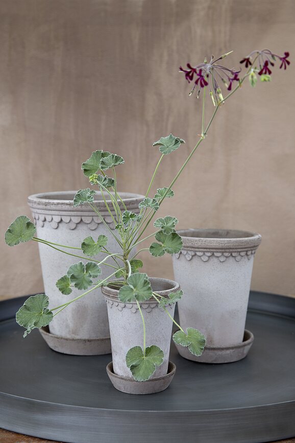 Maceta alta Københavner, 18 cm, gris, con plato