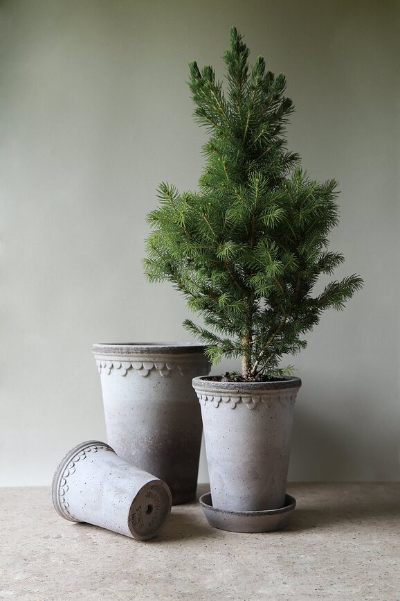 Maceta alta Københavner, 18 cm, gris, con plato