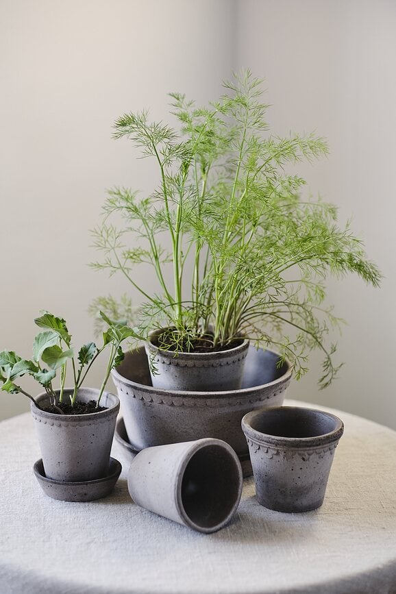 Maceta baja Københavner, 25 cm, gris, con plato