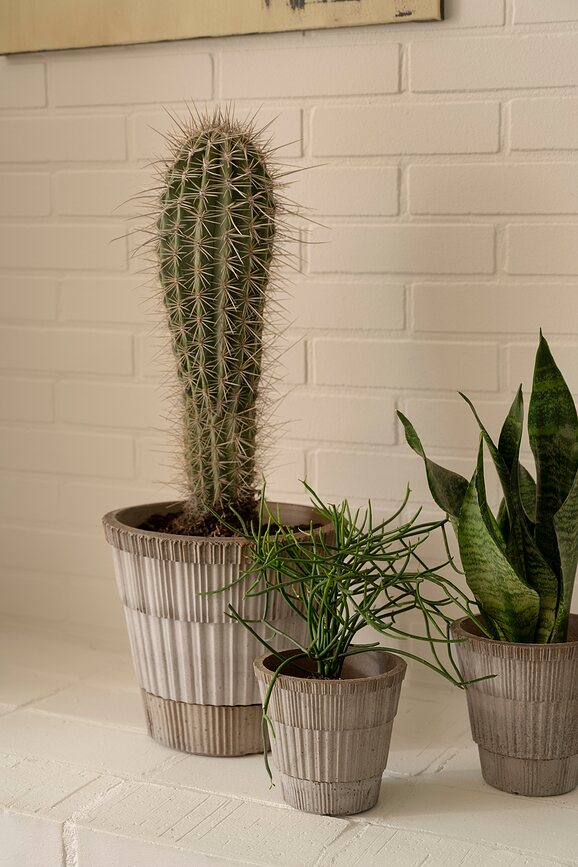 Maceta con plato Atlas, 18 cm, gris