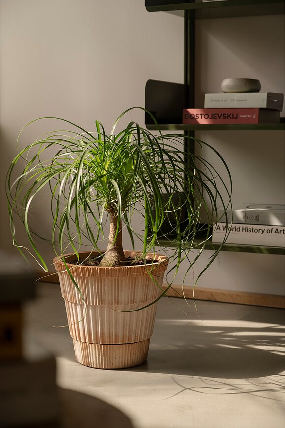 Maceta con plato Atlas 25 cm, rosa