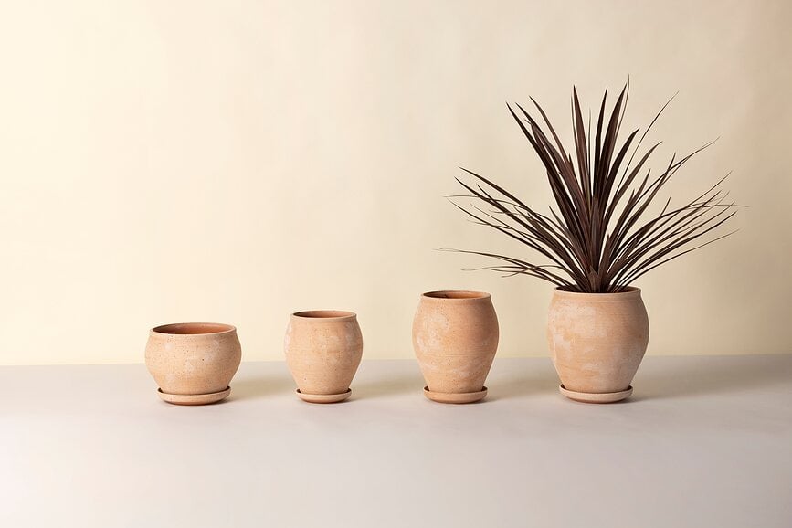 Maceta con Plato Delphi, 24 cm, rosa