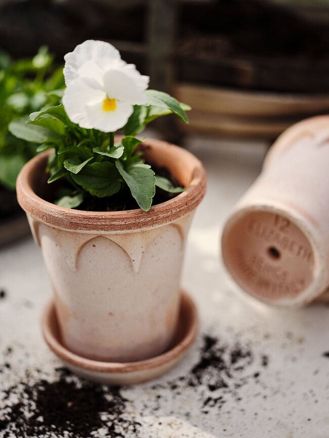 Maceta con plato Elizabeth, 12 cm, rosa