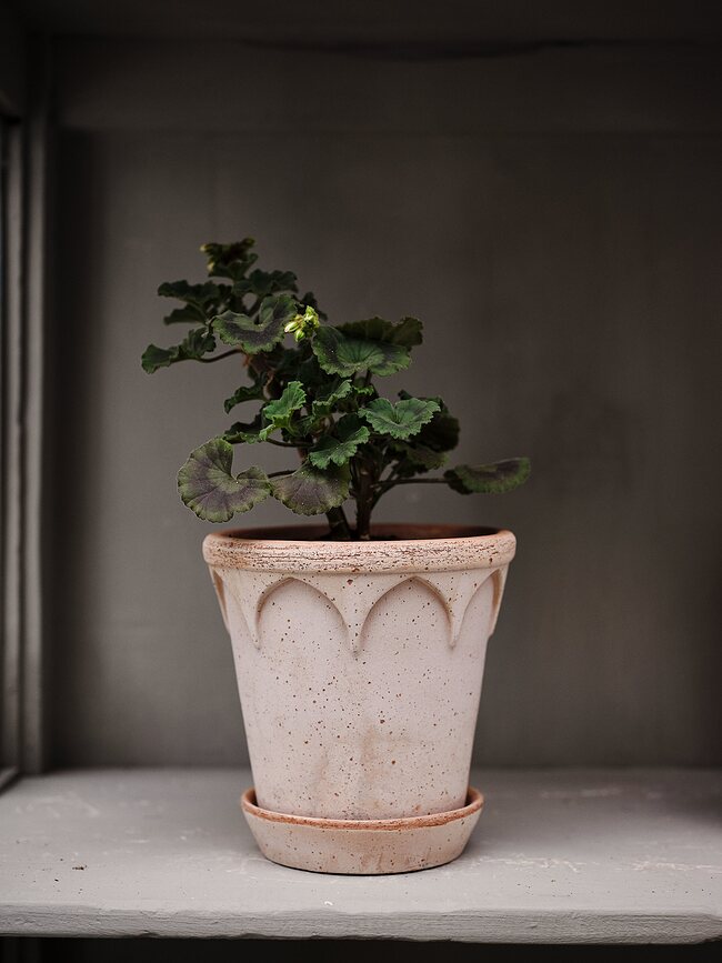 Maceta con plato Elizabeth, 12 cm, rosa