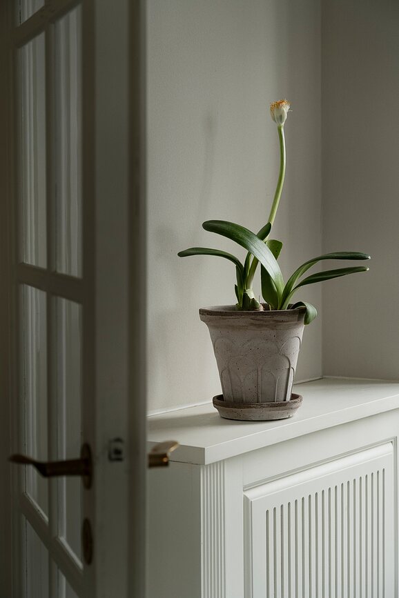 Maceta con Plato Fleur, 21 cm, gris