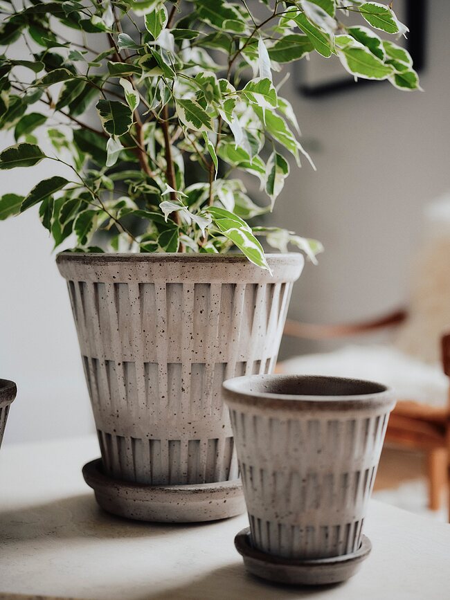 Maceta con plato Pantheon, 12 cm, gris