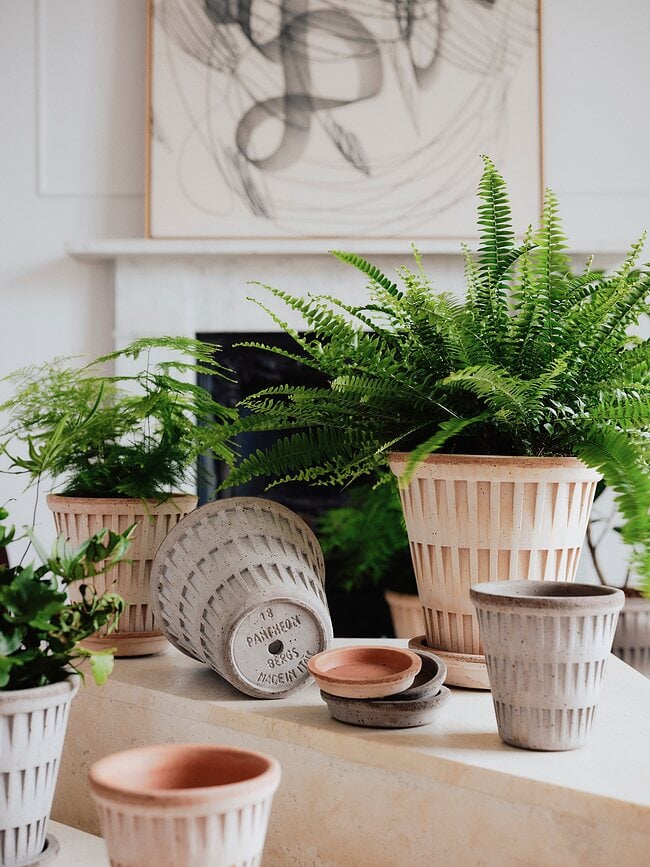 Maceta con plato Pantheon, 12 cm, gris