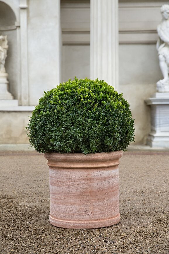 Maceta de jardín Cilindro, 40 cm, rosa
