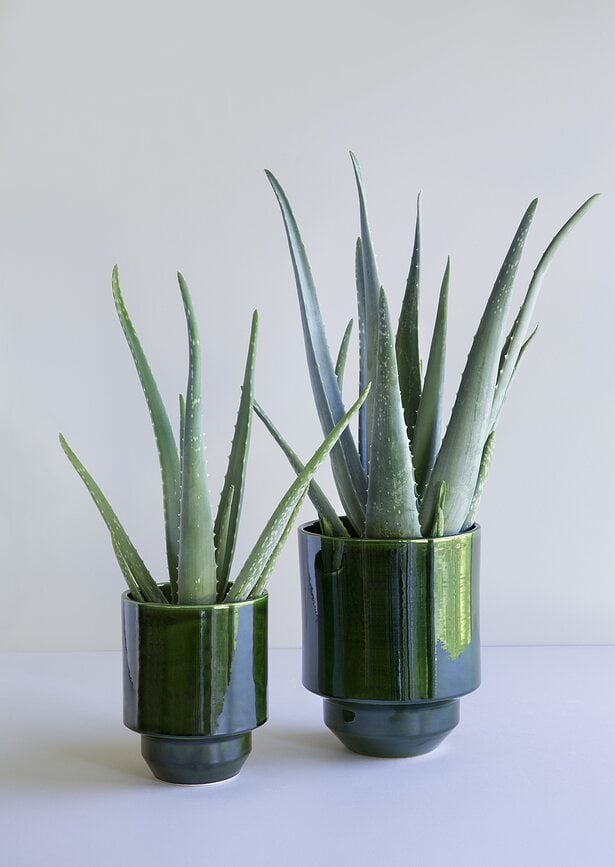 Maceta decorativa Hoff, de cerámica esmaltada, 18 cm, verde