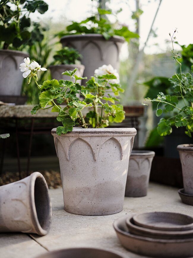 Maceta Elizabeth de cerámica, 12 cm, gris, con plato