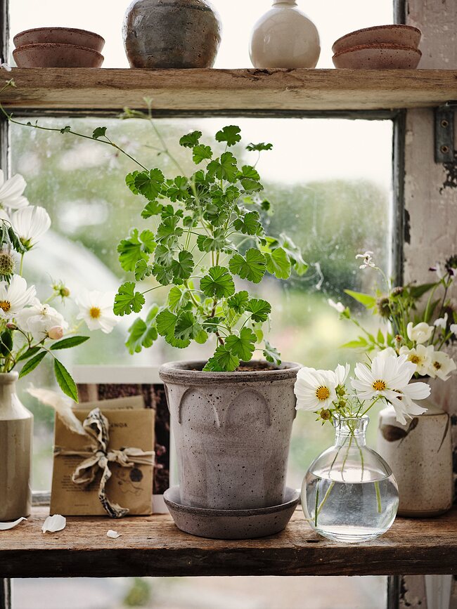 Maceta Elizabeth de cerámica, 12 cm, gris, con plato