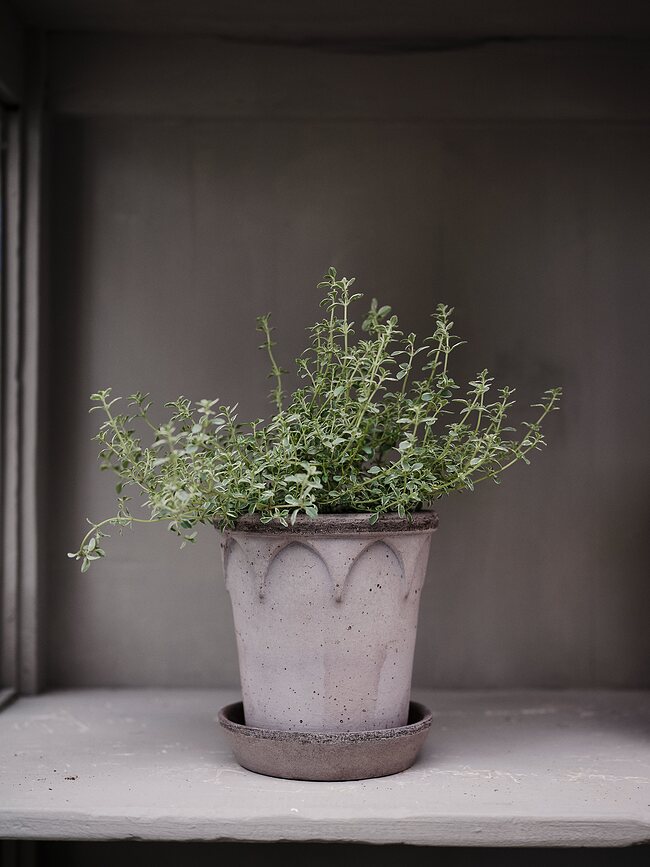 Maceta Elizabeth de cerámica, 12 cm, gris, con plato