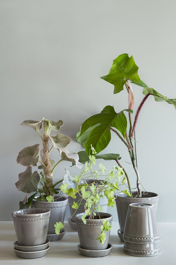 Maceta esmaltada Helena, 18 cm, gris, con plato