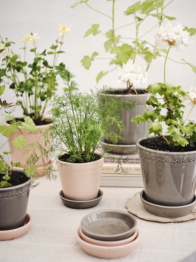 Maceta esmaltada Helena, 14 cm, rosa, con plato