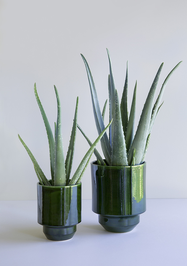 Maceta esmaltada Hoff, 21 cm, verde