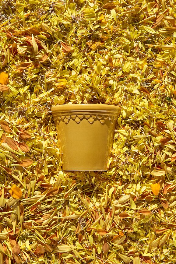 Maceta esmaltada Københavner, 16 cm, amarilla, con plato