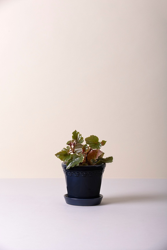 Maceta con Plato esmaltada Københavner, 18 cm, zafiro