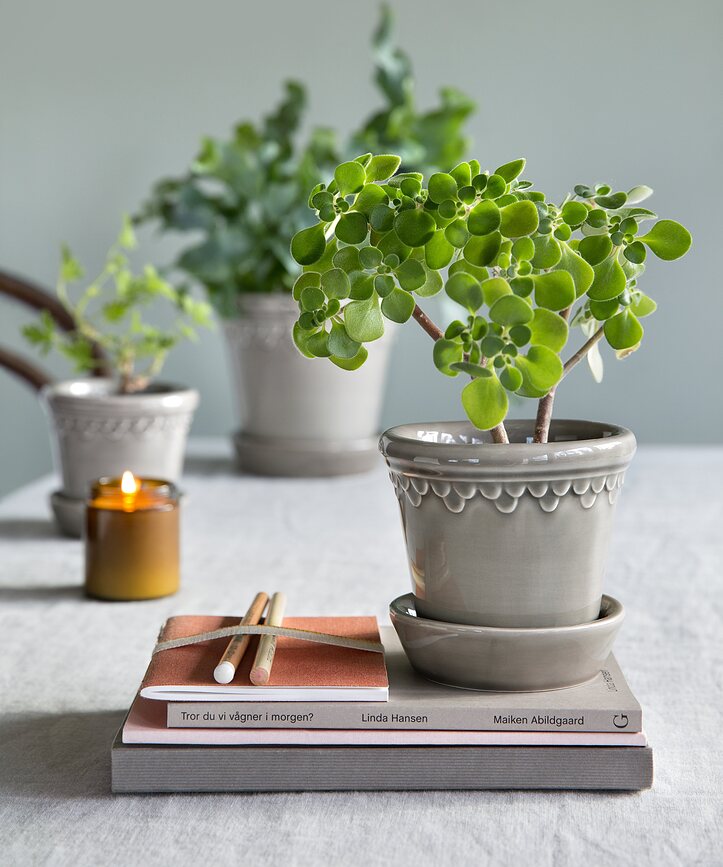 Maceta Københavner de cerámica esmaltada, 12 cm, gris, con plato