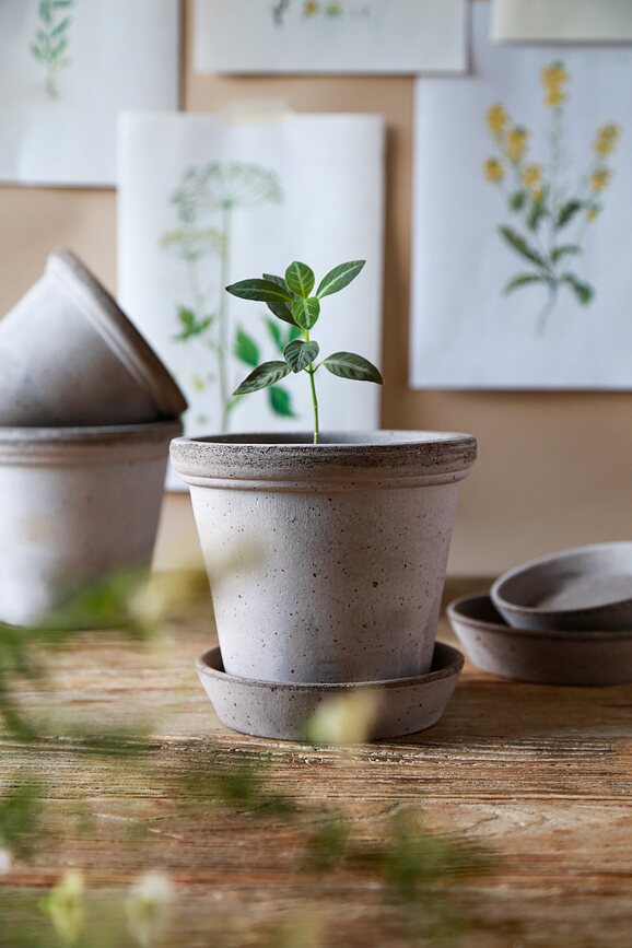 Maceta Flora, 18 cm, gris, con plato