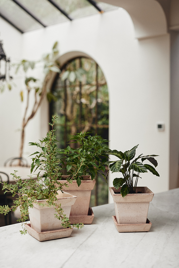 Maceta Gaia, 21 cm, rosa, con plato