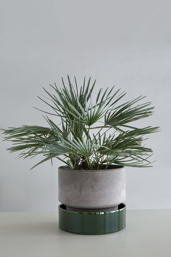 Maceta Hoff 8 cm, gris